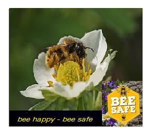 Campagna BEE SAFE